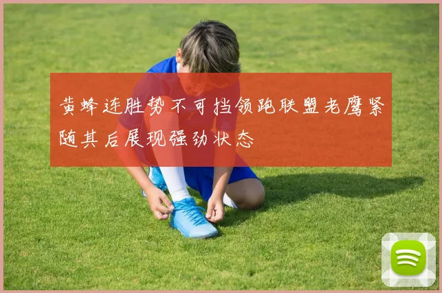 黄蜂连胜势不可挡领跑联盟老鹰紧随其后展现强劲状态