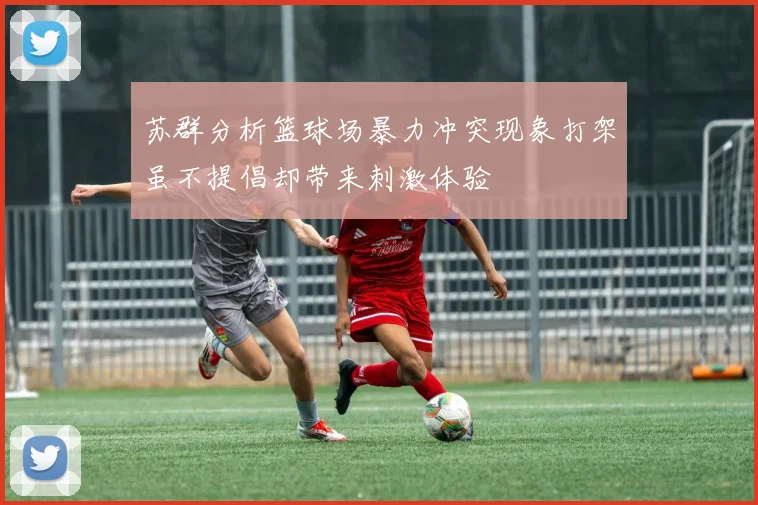 苏群分析篮球场暴力冲突现象打架虽不提倡却带来刺激体验