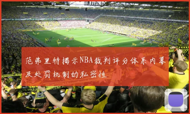 范弗里特揭示NBA裁判评分体系内幕及处罚机制的私密性